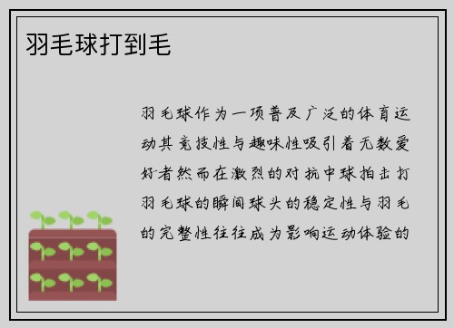 羽毛球打到毛